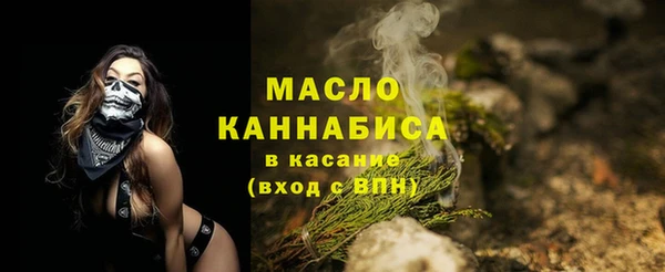 молекула духа Заводоуковск